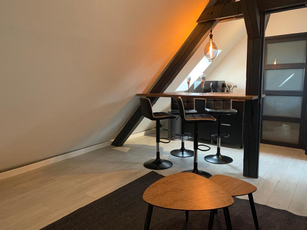Cocoon Loft Apartment Colmar Ngoại thất bức ảnh