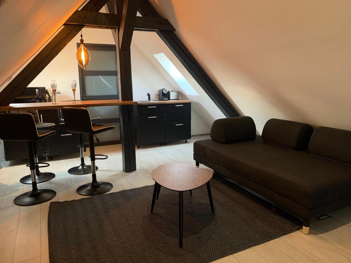 Cocoon Loft Apartment Colmar Ngoại thất bức ảnh