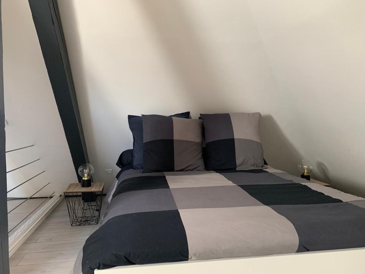 Cocoon Loft Apartment Colmar Ngoại thất bức ảnh