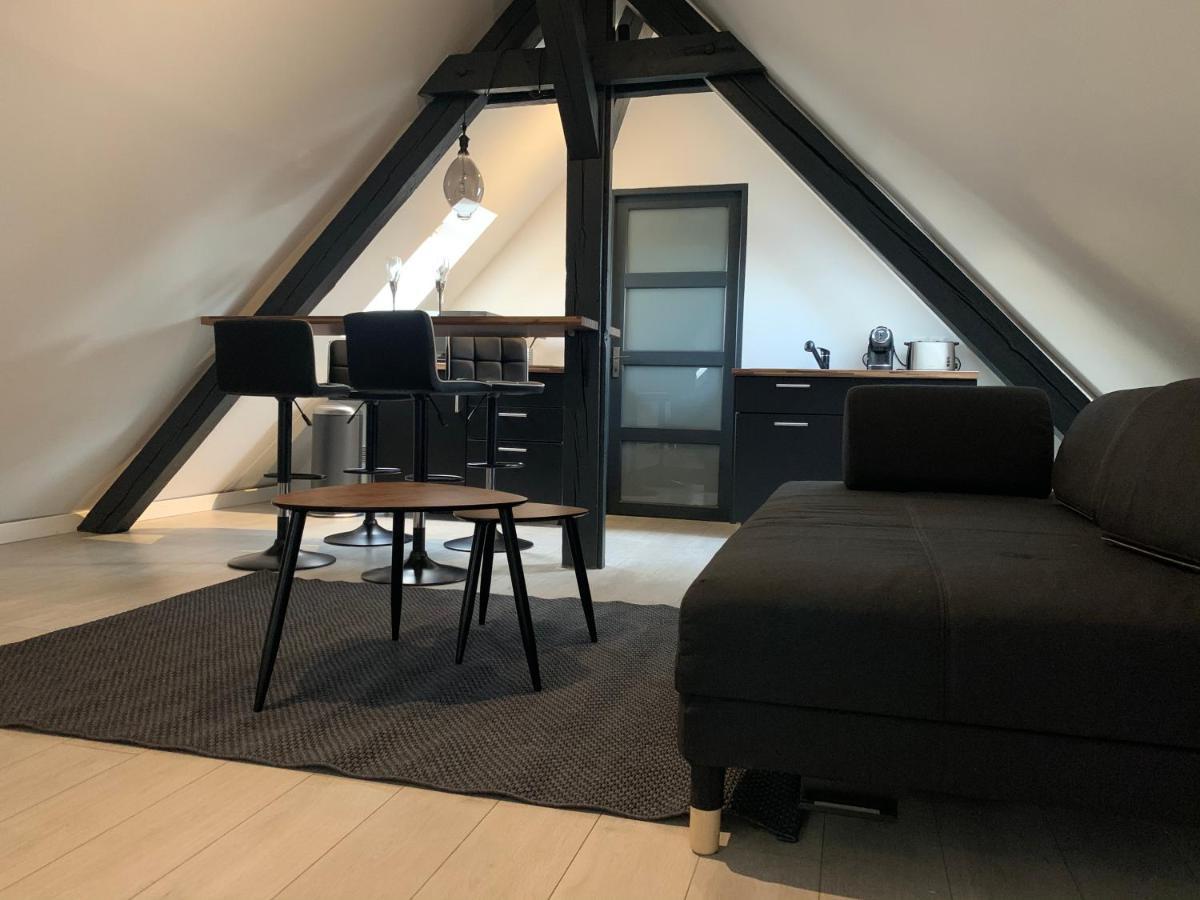 Cocoon Loft Apartment Colmar Ngoại thất bức ảnh