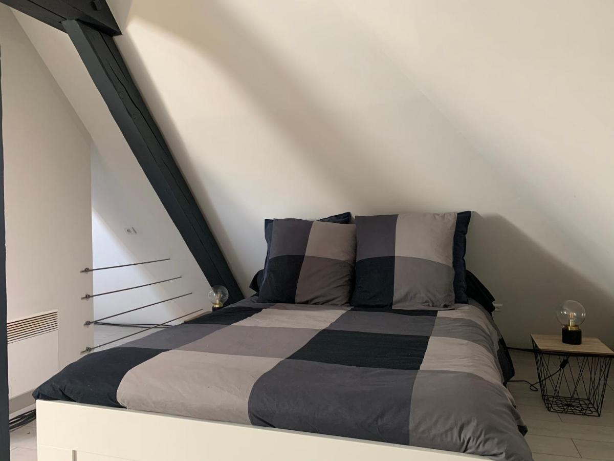 Cocoon Loft Apartment Colmar Ngoại thất bức ảnh